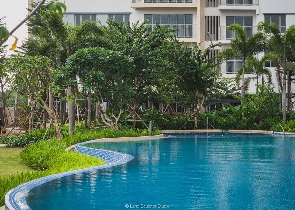 Hồ Bơi Vô Cực & Sàn Tắm Nắng Resort